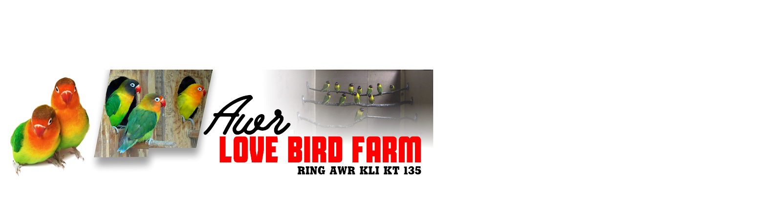 AWR BIRD FARM
