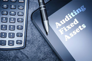 Fixed Assets Audit