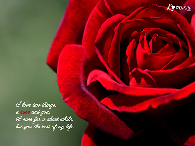 love poems wallpaper. wallpapers of love poems. love