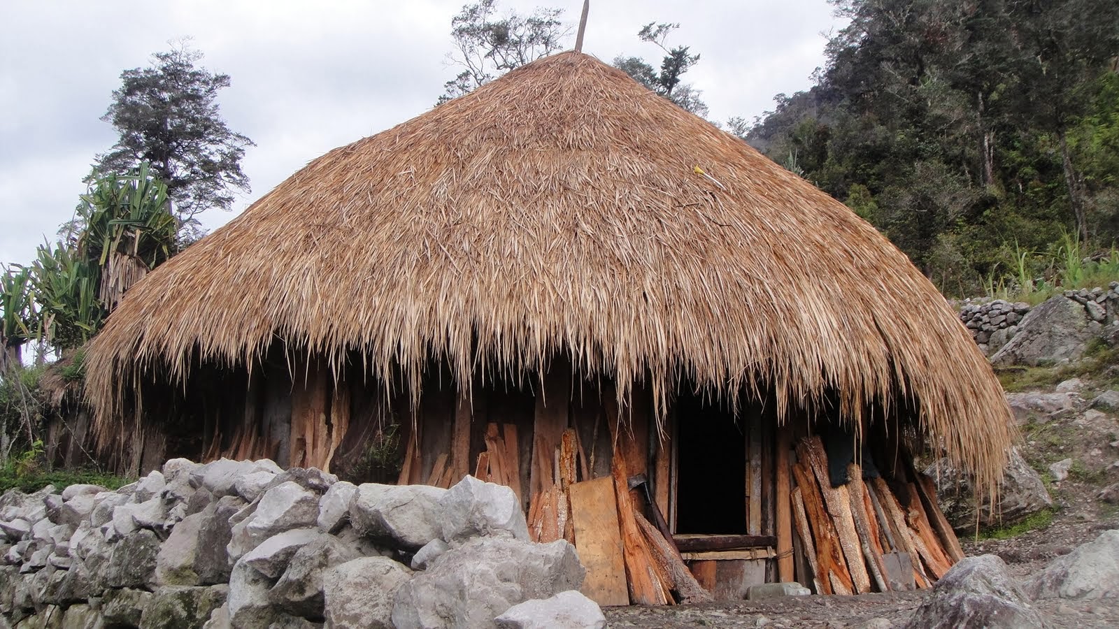 Rumah Adat Papua - Honai | Rumah Adat Indonesia