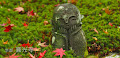 [京都] 洛北の「圓光寺」の紅葉とお地蔵さんがステキ♪