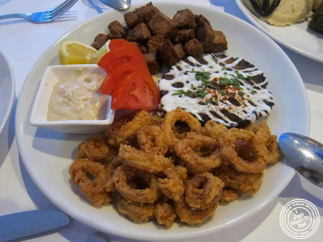 image of hot appetizers at Roka Turkish Cuisine in Kew Gardens, NY