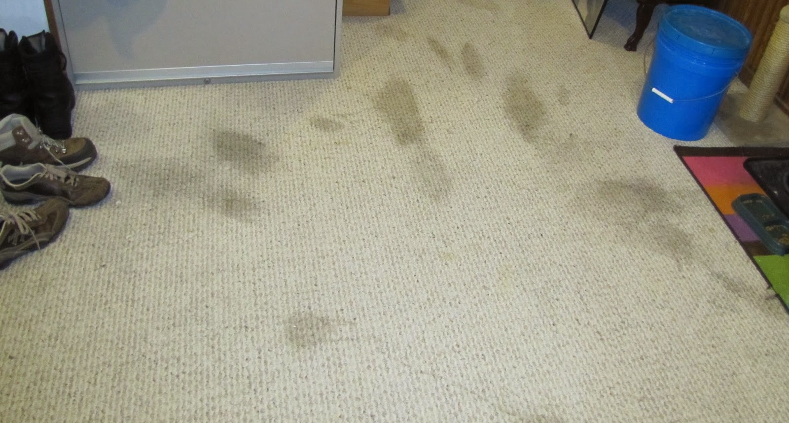 clean old pet stains