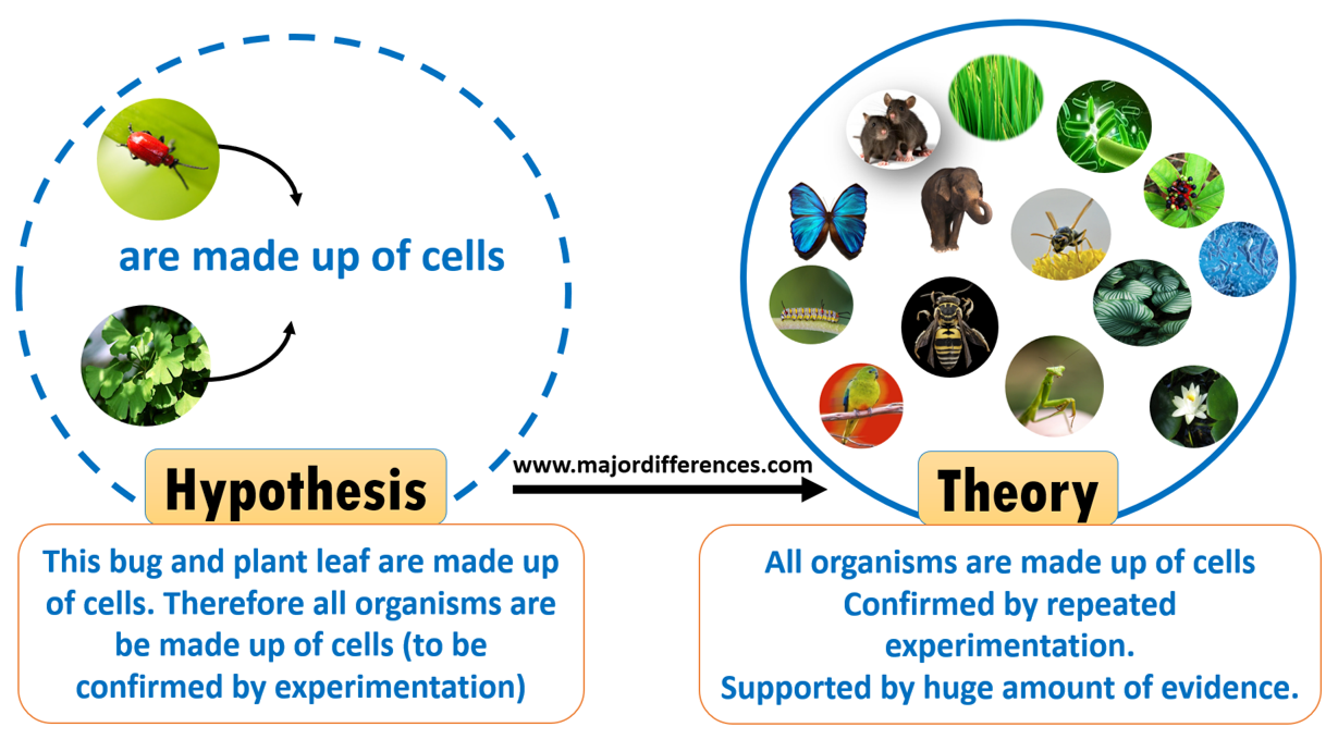 Difference between Hypothesis and Theory