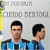 FIX Face Facundo Bertoglio - Gremio