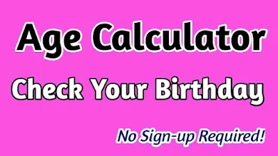 Age Calculator - Free Web Tools