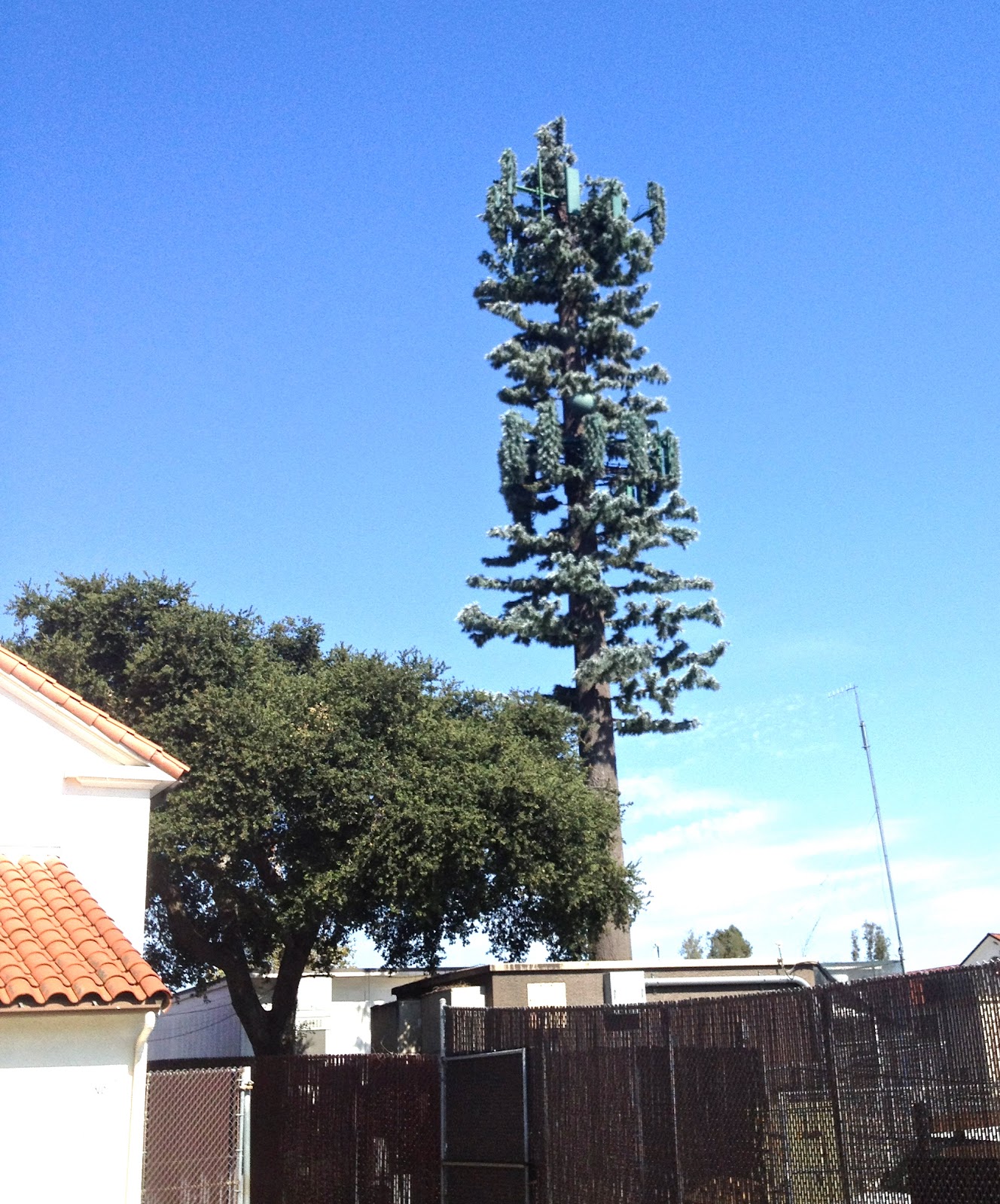 The cell tower next to the classroomsplaygroundlunch area, in the ...