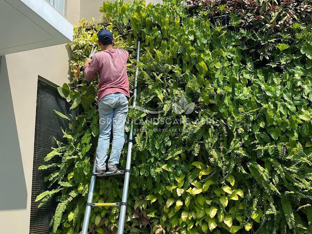 Jasa Pembuatan Vertical Garden Barito Kuala - Tukang Taman Vertikal Profesional