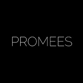 promees.pl