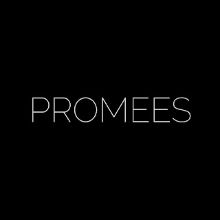 promees.pl