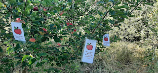 Brightwell cum Sotwell Community Orchard