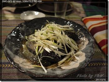 P1010068P16