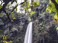 Featuring a waterfall, the most beautiful and highest in Banyuwangi natural