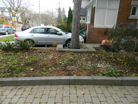 Bedford Park Toronto Fall Front Yard Cleanup After by Paul Jung Gardening Services Inc.--a Toronto Organic Gardening Company