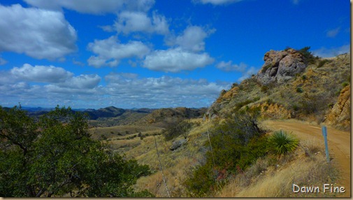 ruby road to Arivaca_015