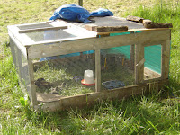 Duck Pen from Different Angle