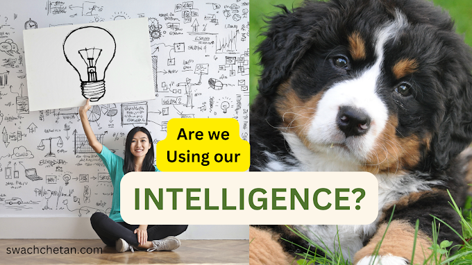Are we USING our INTELLIGENCE?