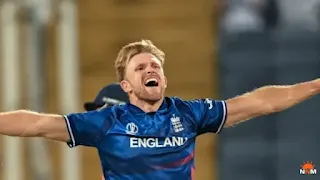 David Willey