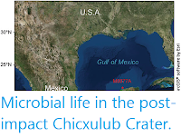 http://sciencythoughts.blogspot.com/2020/04/microbial-life-in-post-impact-chicxulub.html