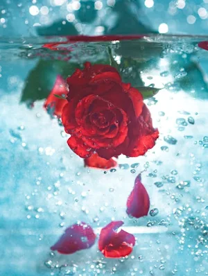 Best Breathtakingly Sweet Love Messages for Him and Her