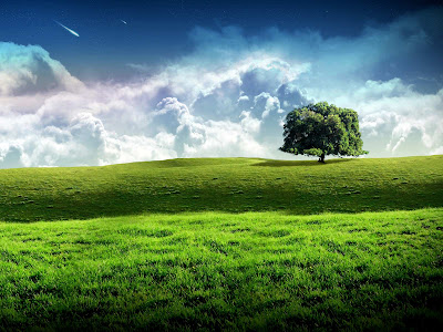 nature wallpaper in hd