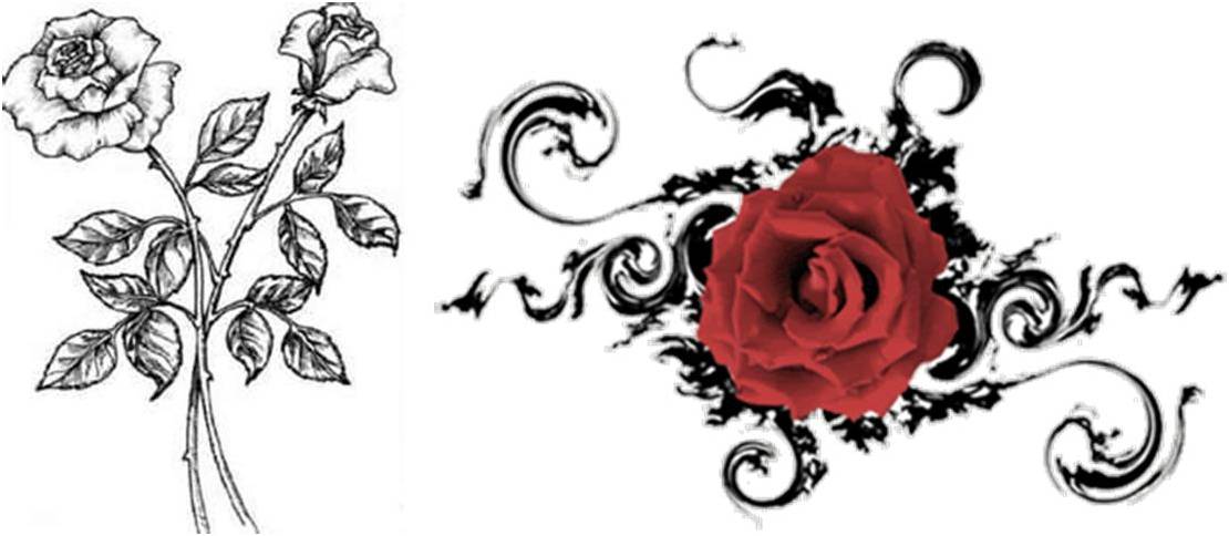 black and white rose tattoos designs Trend Tattoo Styles: Another Simple Design of Rose Tattoo