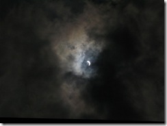 IMG_4782 (640x480)