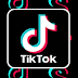 Tiktok-Scraper - TikTok Scraper. Download Video Posts, Collect User/Trend/Hashtag/Music Feed Metadata, Sign URL And Etc