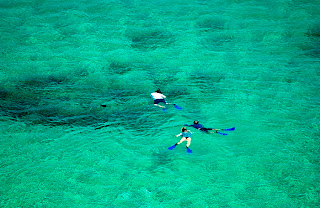 Fernando de noronha the beautiful beach