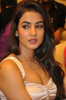  Sonal Chauhan Latest Photos