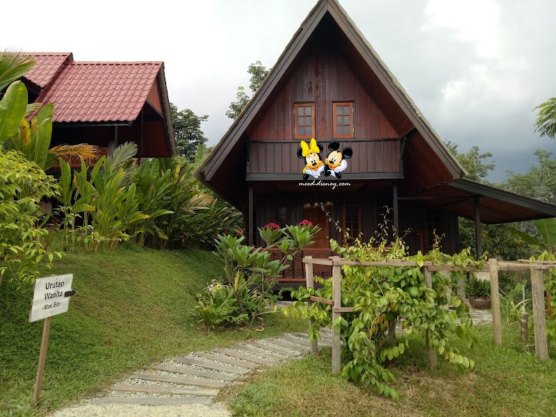 Terkini Rumah Hutan Zulkifli, Rumah Kayu