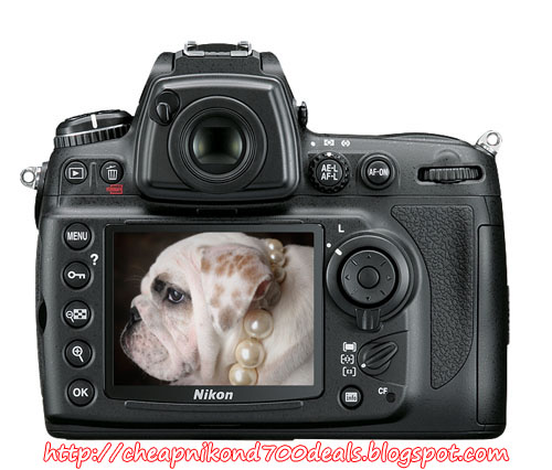 Cheap nikon d700 best price 2012