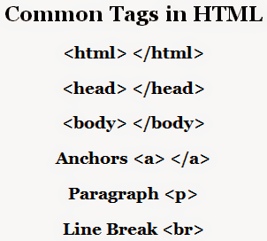 Most Used Tags of HTML