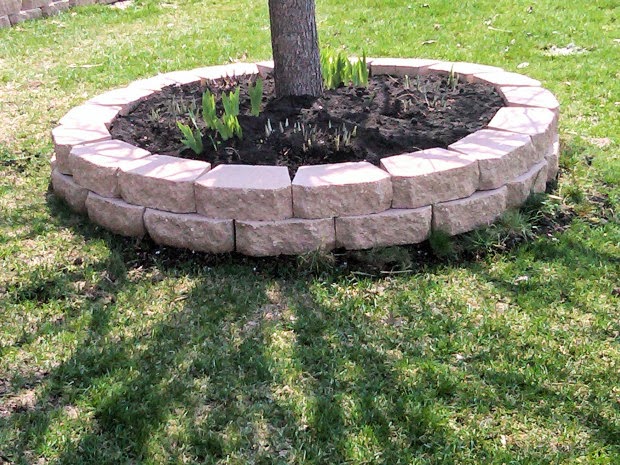 Landscaping Bricks Around Tree