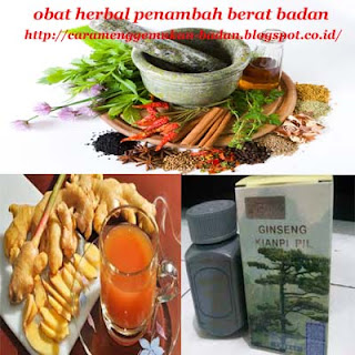 obat gemukin badan, obat untuk menggemukan badan,obat gemuk kianpi, obat penggemuk badan tradisional, obat menggemukkan badan, obat herbal penambah berat badan