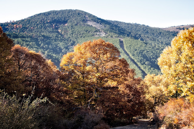 Ávila, Valle de Iruelas