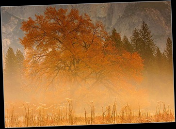 misty sunrise - fred miranda