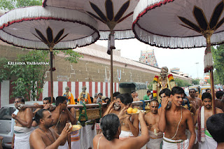 Kodai Utsavam, Tholukiniyaan, Purappadu,Video, Divya Prabhandam,Sri Parthasarathy Perumal, Triplicane,Thiruvallikeni,Utsavam,