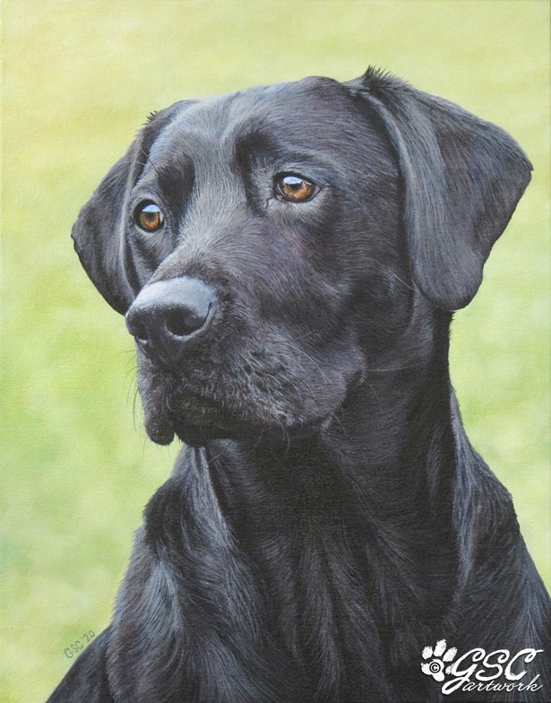labrador retriever lab dog canine pet animal portrait acrylic painting art