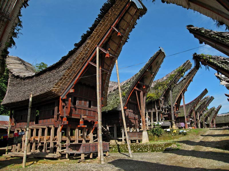 Tongkonan, Torajan traditional House - Indonesian Cultures