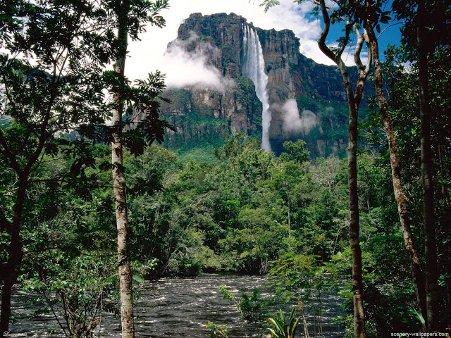 Air-Terjun-Angel-Falls-di-Venezuela_2