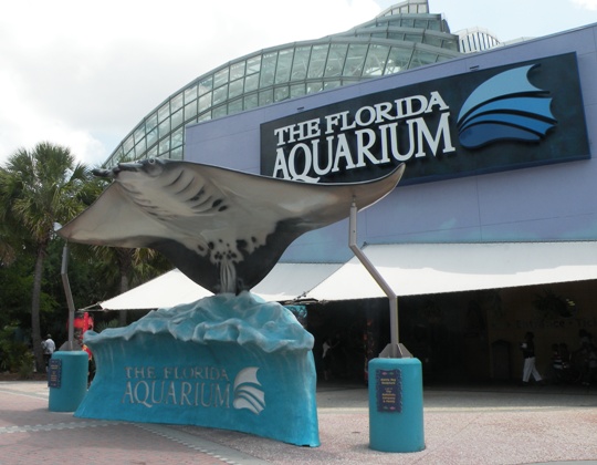 ZooZooReview: Florida Aquarium - 00FloriDaAquarium
