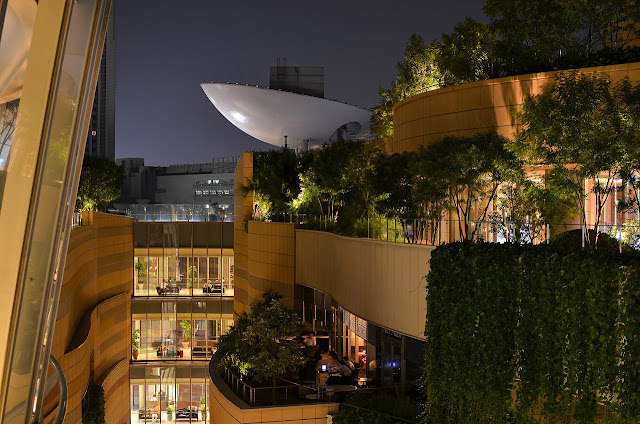 Balcones con vegetación