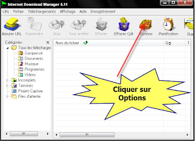 Ouvrir internet download manager IDM et cliquer sur options