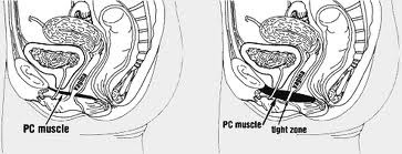 latihan senam kegel