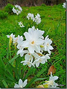 P1200070
