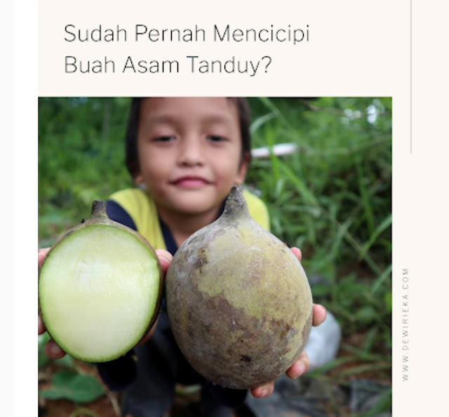 Hanif Wicaksono, Pahlawan Pelestari Buah-buahan Langka Khas Kalimantan