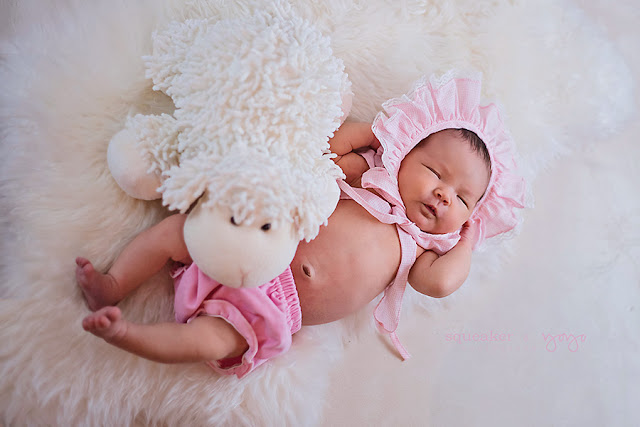 Newborn Photos - Brampton, ON