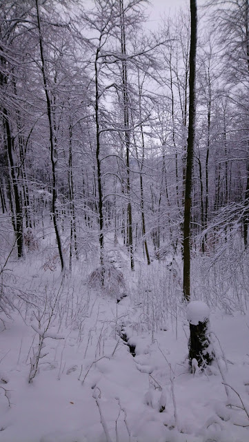 Sauerland wandern Wetter blog Schmallenberg Hunau Loipe