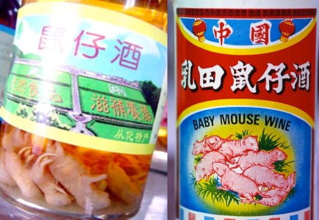 Baby Mice Wine Minuman Ekstrim Dari Negeri Tirai Bambu, China